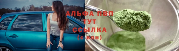 прущие грибы Медвежьегорск