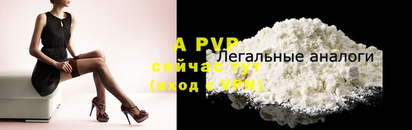 прущие грибы Медвежьегорск