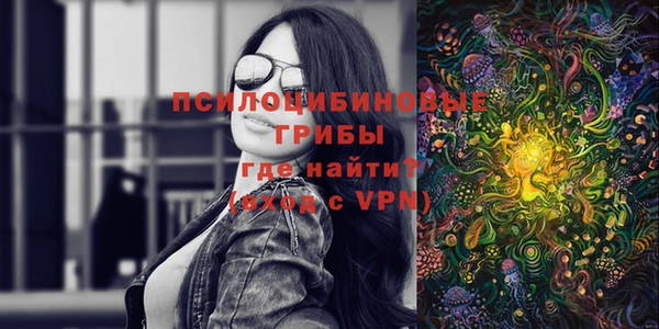 прущие грибы Медвежьегорск