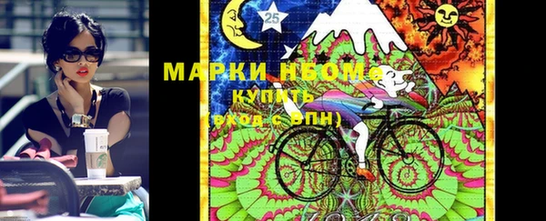 прущие грибы Медвежьегорск