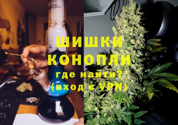 прущие грибы Медвежьегорск