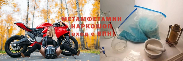 прущие грибы Медвежьегорск