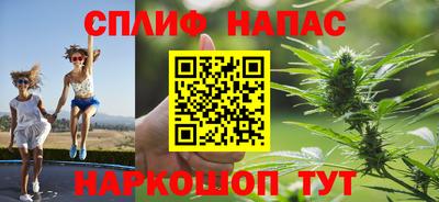 крисы Камышлов