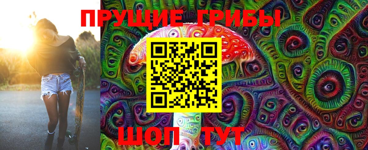 Псилоцибиновые грибы Psilocybe  Галлюциногенные грибы мицелий  Сургут 